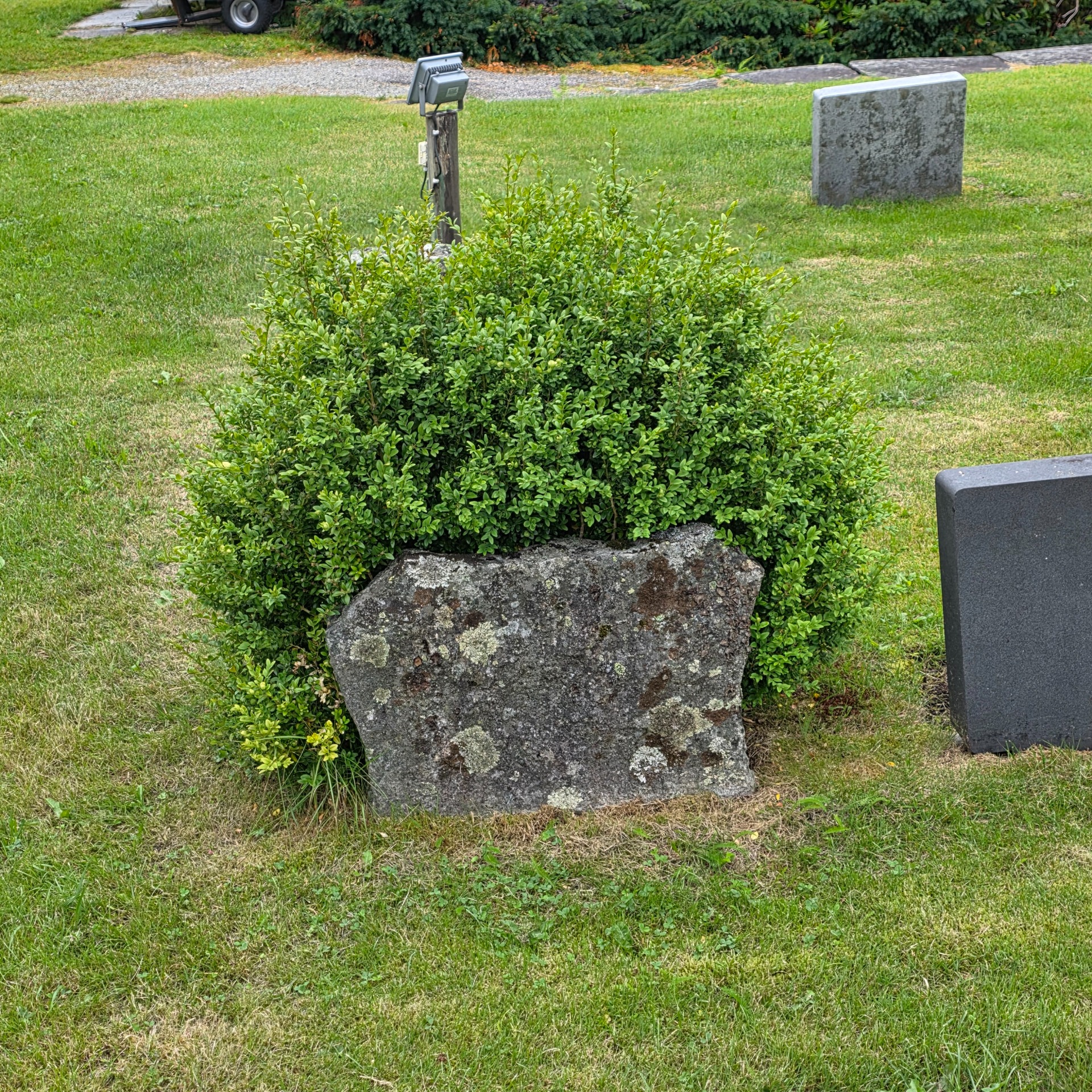 Lenge siden siste besøk (dette er baksiden)